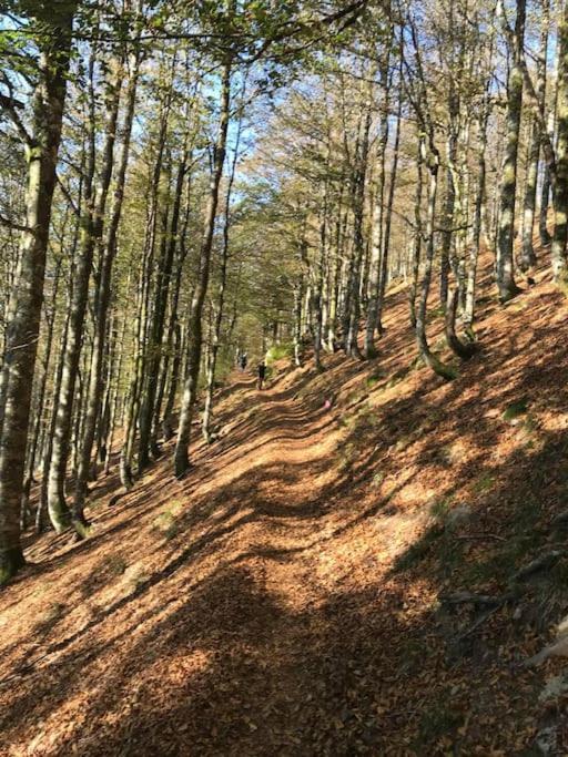 La Magie Entre Deux Lacs Gérardmer Εξωτερικό φωτογραφία