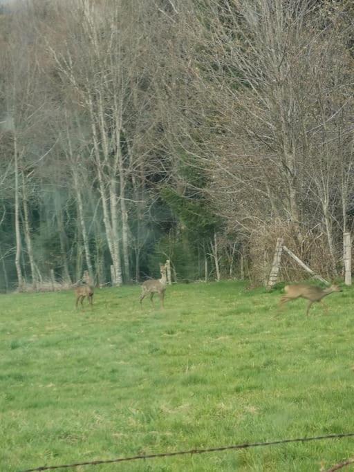 La Magie Entre Deux Lacs Gérardmer Εξωτερικό φωτογραφία