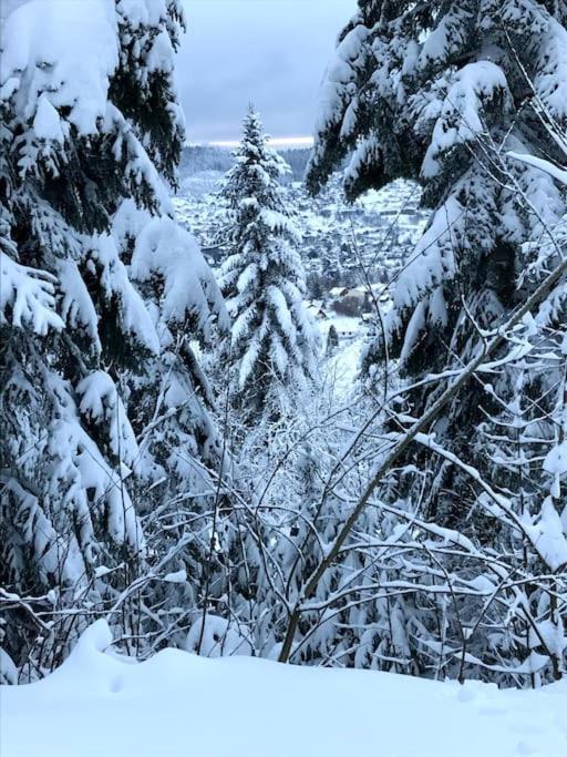 La Magie Entre Deux Lacs Gérardmer Εξωτερικό φωτογραφία