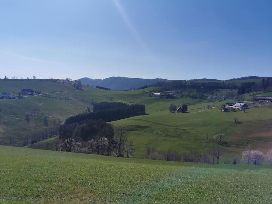 La Magie Entre Deux Lacs Gérardmer Εξωτερικό φωτογραφία